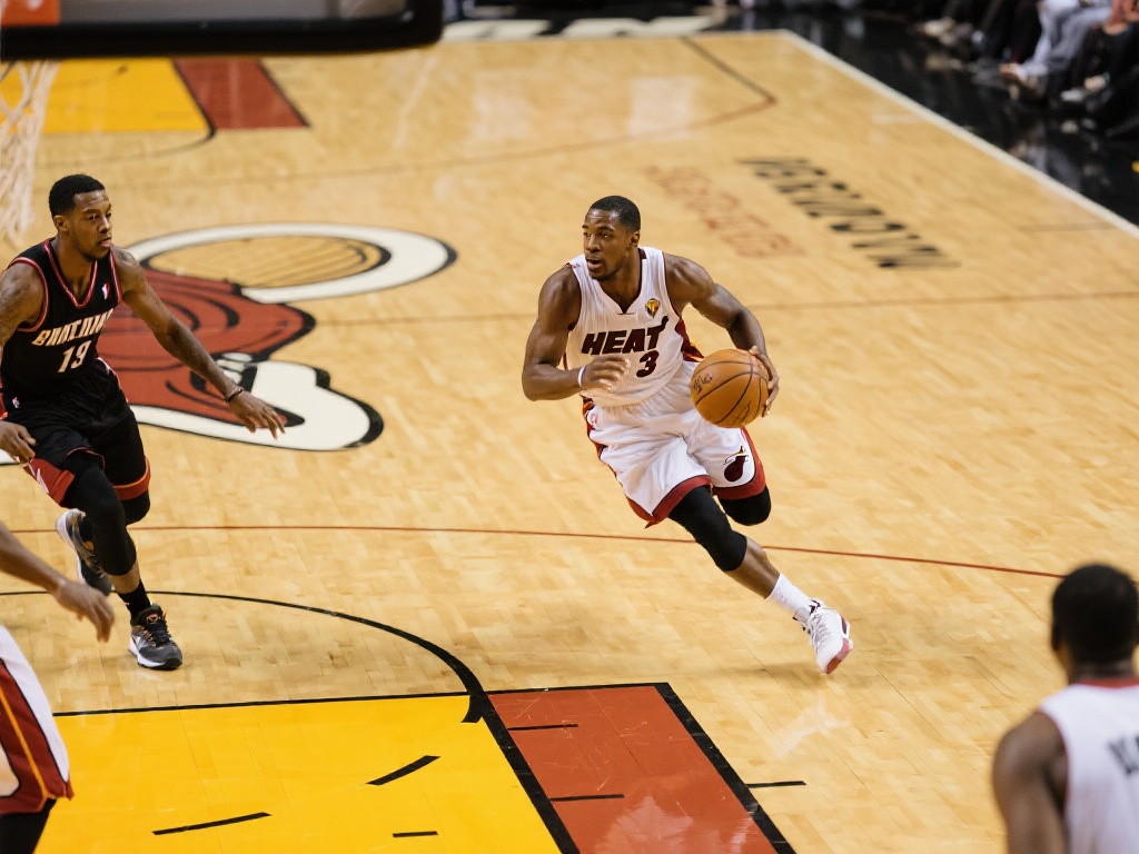 的全面发挥 的全面发挥